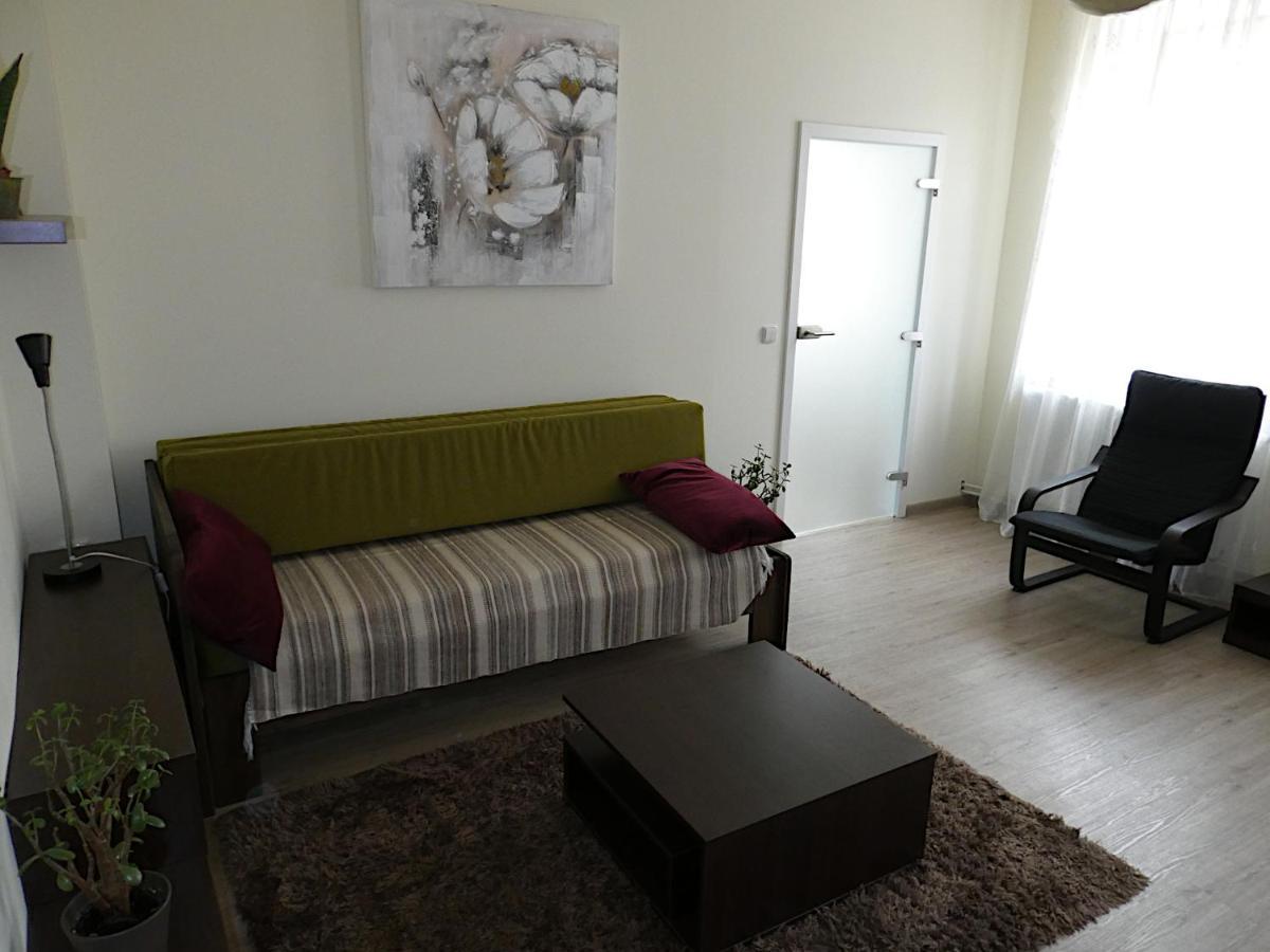 Apartman Marenka Nove Mesto na Morave Eksteriør billede
